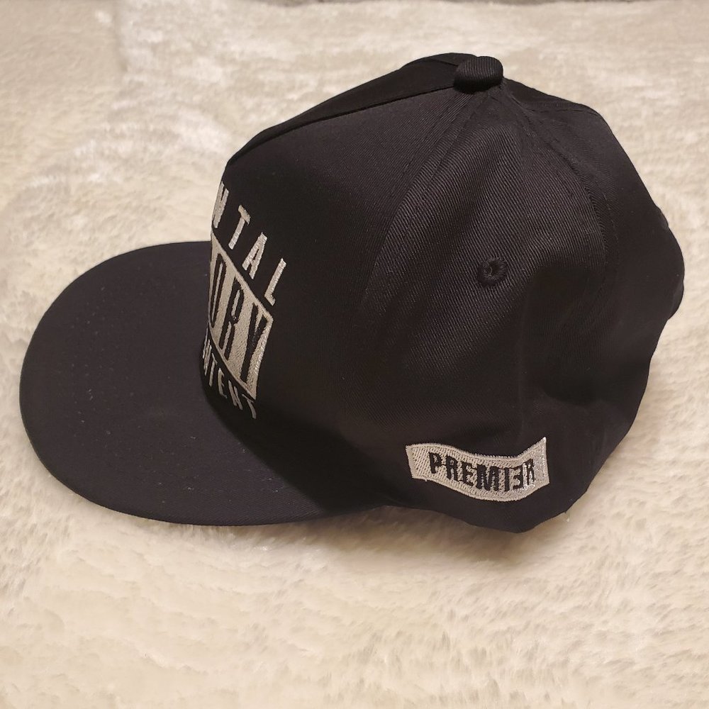 Snapback Hat - Picture 3 of 3